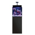 RED SEA MAX NANO G2 AQUARIUM & CABINET BLACK